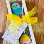 First Day of School Box of 2-Cake Ballerina-Cake Pops