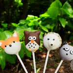 Woodland Animals Cake Pops-Cake Ballerina-Cake Pops