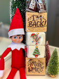 I'm Back - Elf on the Shelf S'mores Kit